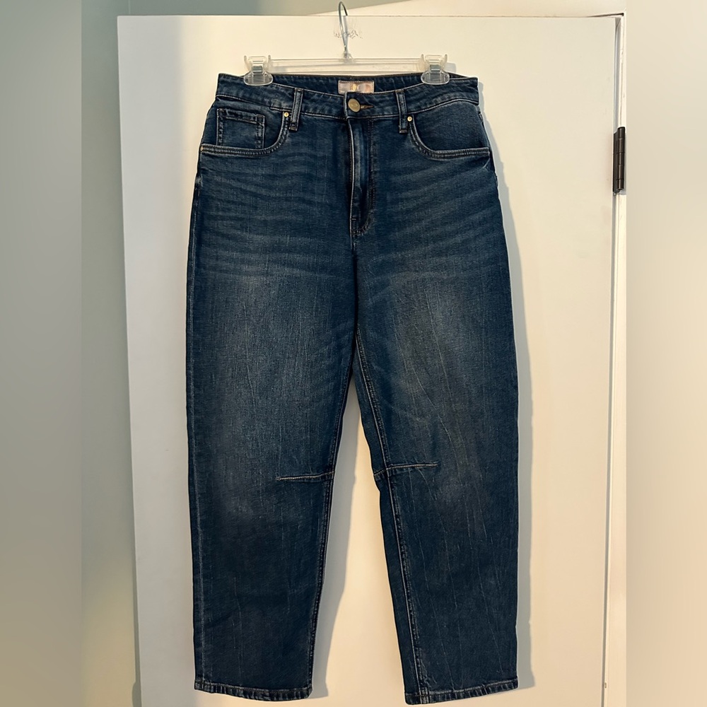 Kut from the Kloth Ashley Slouchy Barrel